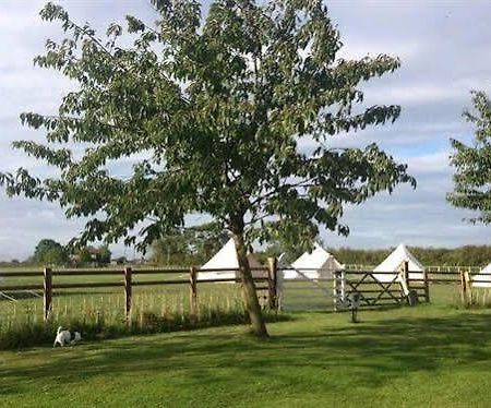 Skipbridge Farm Shepherds Huts Campground Green Hammerton ภายนอก รูปภาพ