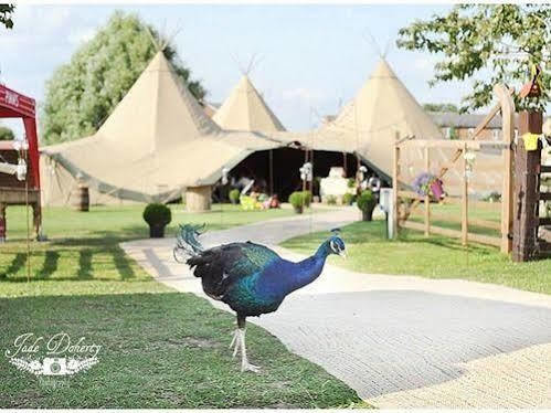 Skipbridge Farm Shepherds Huts Campground Green Hammerton ภายนอก รูปภาพ