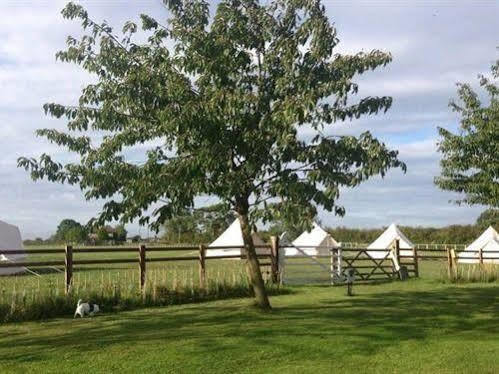 Skipbridge Farm Shepherds Huts Campground Green Hammerton ภายนอก รูปภาพ